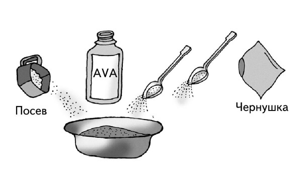 Иллюстрация к книге — Иллюстрированная энциклопедия огородника для новичков [i_104.jpg]