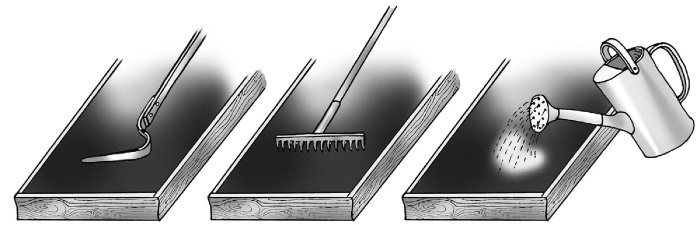 Иллюстрация к книге — Иллюстрированная энциклопедия огородника для новичков [i_106.jpg]