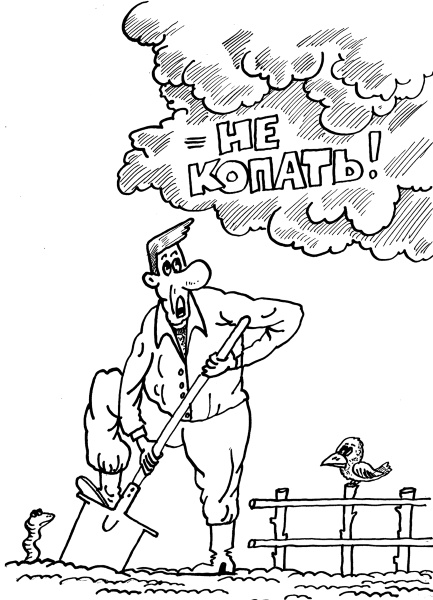 Иллюстрация к книге — Большая книга огородника и садовода. Все секреты плодородия [i_003.jpg]