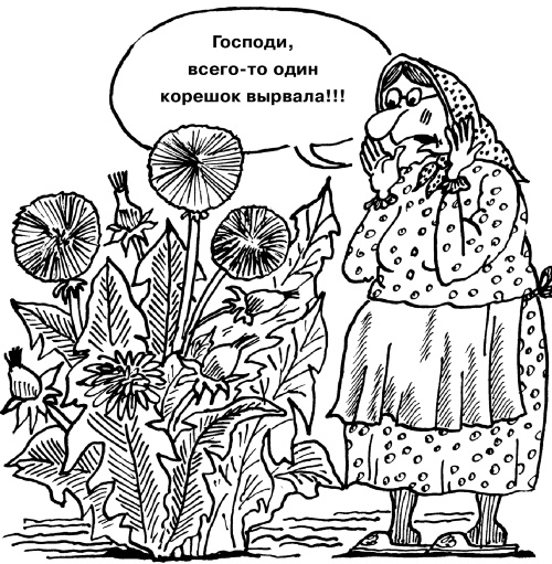 Иллюстрация к книге — Большая книга огородника и садовода. Все секреты плодородия [i_009.jpg]