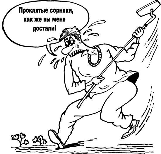 Иллюстрация к книге — Большая книга огородника и садовода. Все секреты плодородия [i_010.jpg]