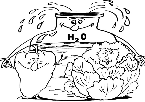 Иллюстрация к книге — Большая книга огородника и садовода. Все секреты плодородия [i_016.jpg]