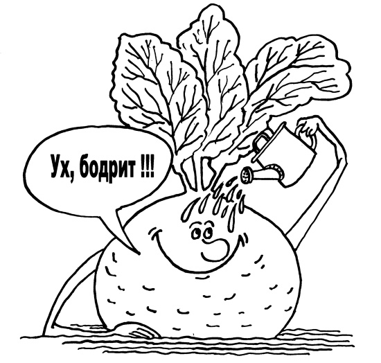 Иллюстрация к книге — Большая книга огородника и садовода. Все секреты плодородия [i_018.jpg]