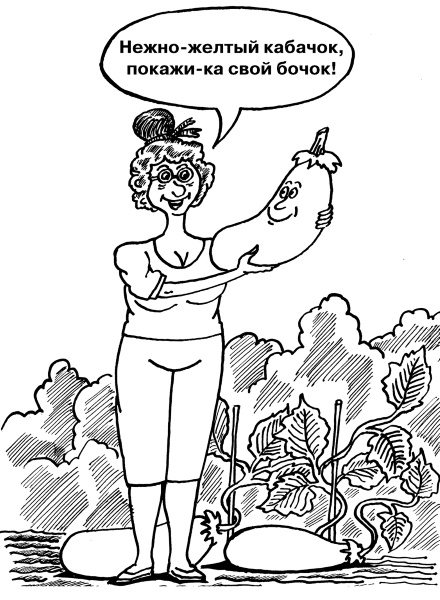 Иллюстрация к книге — Большая книга огородника и садовода. Все секреты плодородия [i_043.jpg]