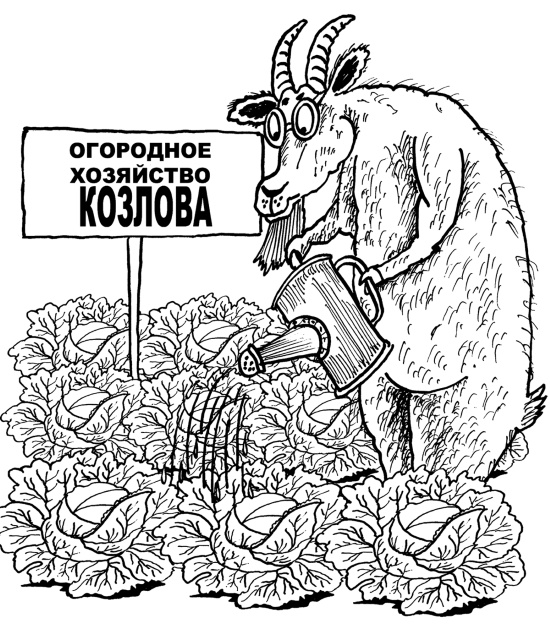 Иллюстрация к книге — Большая книга огородника и садовода. Все секреты плодородия [i_048.jpg]