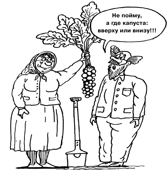 Иллюстрация к книге — Большая книга огородника и садовода. Все секреты плодородия [i_049.jpg]