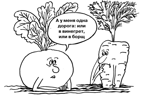 Иллюстрация к книге — Большая книга огородника и садовода. Все секреты плодородия [i_053.jpg]