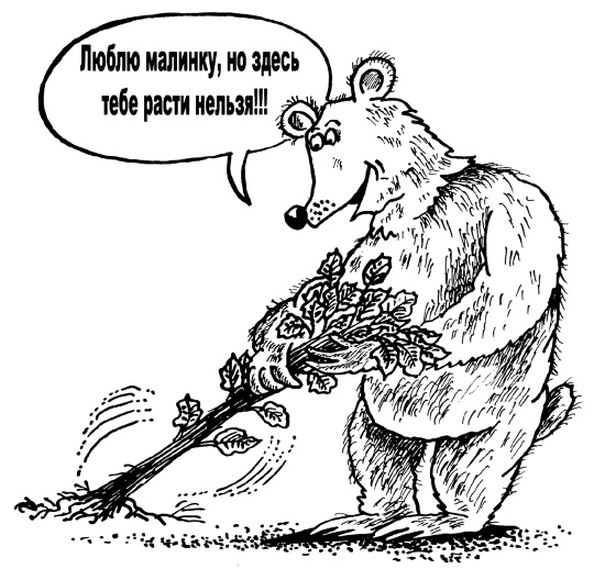 Иллюстрация к книге — Большая книга огородника и садовода. Все секреты плодородия [i_068.jpg]