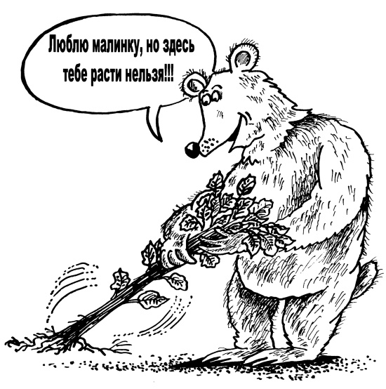 Иллюстрация к книге — Большая книга огородника и садовода. Все секреты плодородия [i_069.jpg]