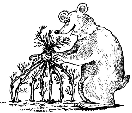 Иллюстрация к книге — Большая книга огородника и садовода. Все секреты плодородия [i_071.jpg]