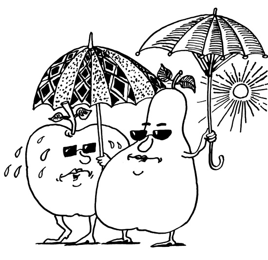 Иллюстрация к книге — Большая книга огородника и садовода. Все секреты плодородия [i_073.jpg]