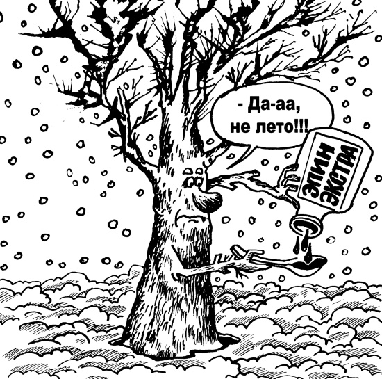 Иллюстрация к книге — Большая книга огородника и садовода. Все секреты плодородия [i_076.jpg]