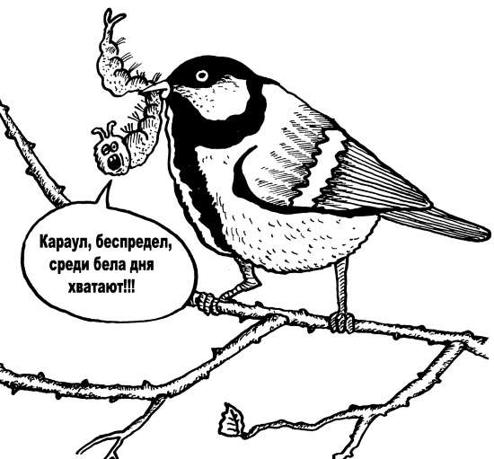 Иллюстрация к книге — Большая книга огородника и садовода. Все секреты плодородия [i_078.jpg]