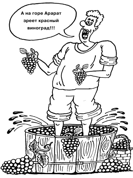 Иллюстрация к книге — Большая книга огородника и садовода. Все секреты плодородия [i_082.jpg]