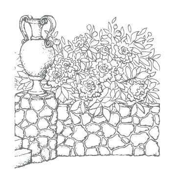 Иллюстрация к книге — Сад и огород для тех, кому за… без лишних усилий [i_016.jpg]