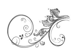 Иллюстрация к книге — Сад и огород для тех, кому за… без лишних усилий [i_017.jpg]