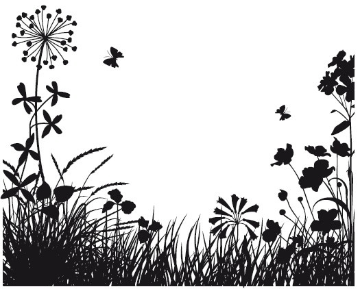 Иллюстрация к книге — Сад и огород для тех, кому за… без лишних усилий [i_039.jpg]