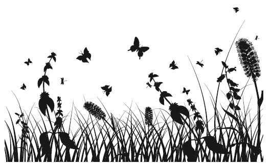 Иллюстрация к книге — Сад и огород для тех, кому за… без лишних усилий [i_042.jpg]