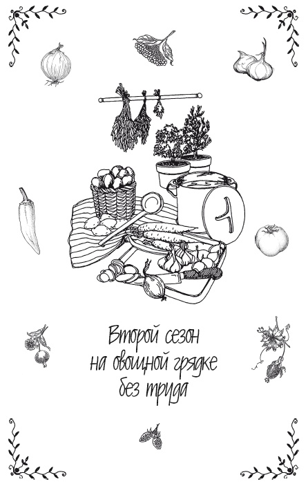 Иллюстрация к книге — Урожай без хлопот. Сад, цветник и огород [i_008.jpg]