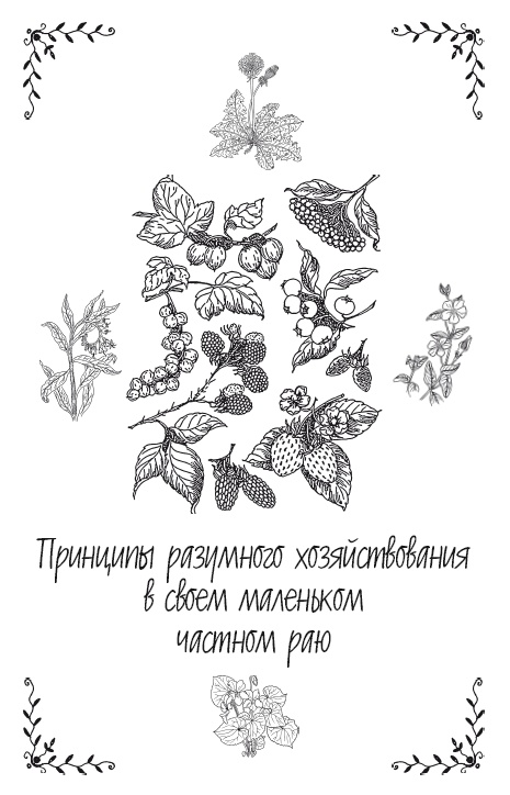 Иллюстрация к книге — Урожай без хлопот. Сад, цветник и огород [i_050.jpg]