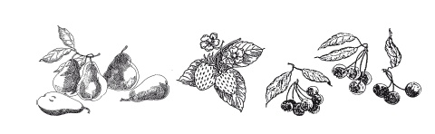 Иллюстрация к книге — Урожай без хлопот. Сад, цветник и огород [i_053.jpg]