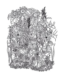 Иллюстрация к книге — Урожай без хлопот. Сад, цветник и огород [i_062.jpg]