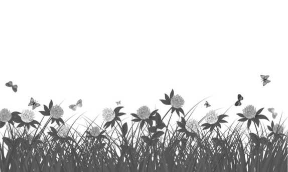 Иллюстрация к книге — Цветник для ленивых. Цветы от последнего снега до первых морозов [i_016.jpg]