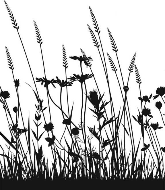 Иллюстрация к книге — Цветник для ленивых. Цветы от последнего снега до первых морозов [i_021.jpg]