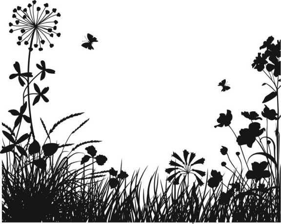 Иллюстрация к книге — Цветник для ленивых. Цветы от последнего снега до первых морозов [i_023.jpg]