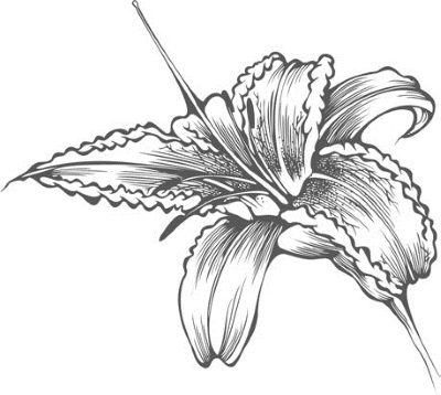 Иллюстрация к книге — Цветник для ленивых. Цветы от последнего снега до первых морозов [i_026.jpg]