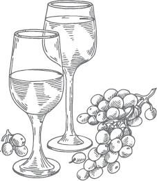 Иллюстрация к книге — Виноград без труда [_41.jpg]