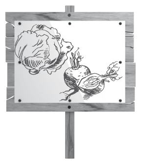 Иллюстрация к книге — Огород по-русски. Мало сажаем, много собираем [i_010.jpg]