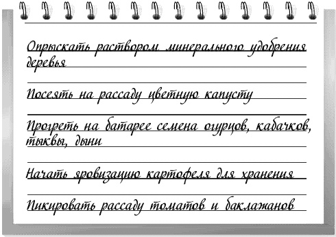 Иллюстрация к книге — Чудо-грядки: не копаем, а урожай собираем [_166.jpg]