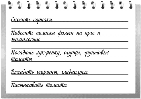 Иллюстрация к книге — Чудо-грядки: не копаем, а урожай собираем [_183.jpg]
