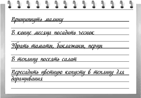 Иллюстрация к книге — Чудо-грядки: не копаем, а урожай собираем [_195.jpg]
