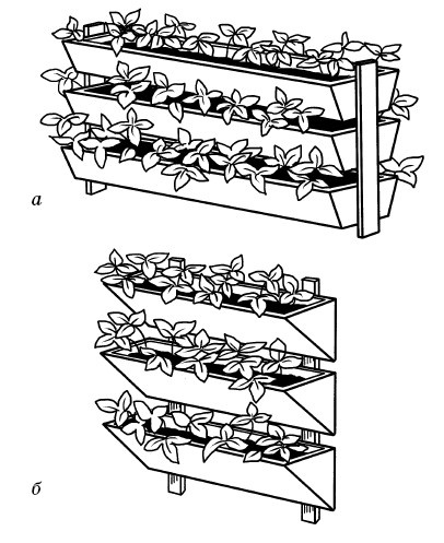 Иллюстрация к книге — Парники и теплицы. Строим и выращиваем [i_025.jpg]