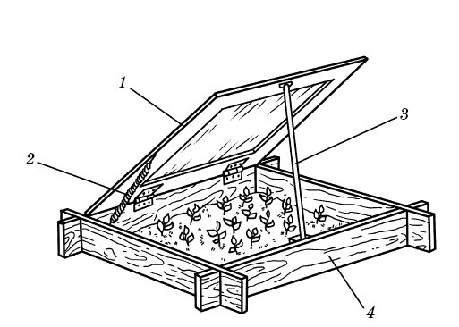 Иллюстрация к книге — Парники и теплицы. Строим и выращиваем [i_054.jpg]