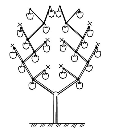 Иллюстрация к книге — Парники и теплицы. Строим и выращиваем [i_087.jpg]