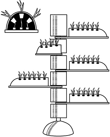 Иллюстрация к книге — Огород у вас дома [i_013.jpg]