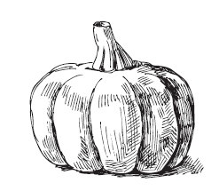 Иллюстрация к книге — Лечимся едой. Болезни глаз. 200 лучших рецептов. Советы, рекомендации [i_001.jpg]