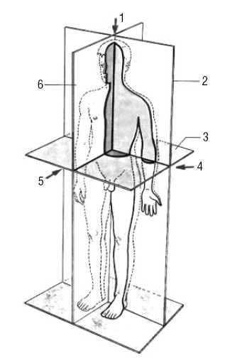 Иллюстрация к книге — Лечимся едой. Болезни суставов и позвоночника. 200 лучших рецептов [i_004.jpg]