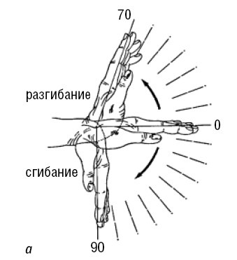 Иллюстрация к книге — Лечимся едой. Болезни суставов и позвоночника. 200 лучших рецептов [i_009.jpg]