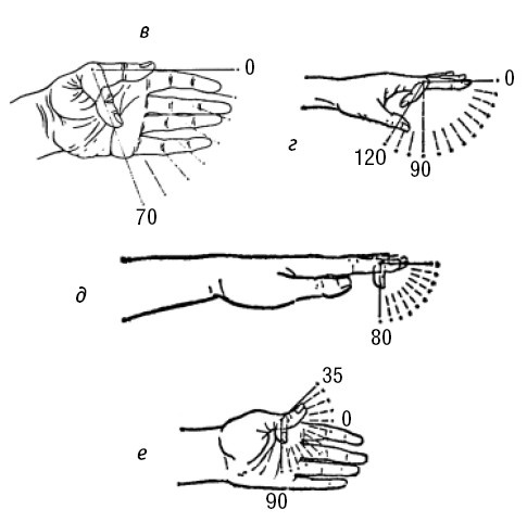 Иллюстрация к книге — Лечимся едой. Болезни суставов и позвоночника. 200 лучших рецептов [i_011.jpg]