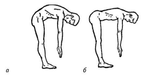 Иллюстрация к книге — Лечимся едой. Болезни суставов и позвоночника. 200 лучших рецептов [i_012.jpg]