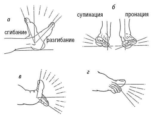 Иллюстрация к книге — Лечимся едой. Болезни суставов и позвоночника. 200 лучших рецептов [i_015.jpg]