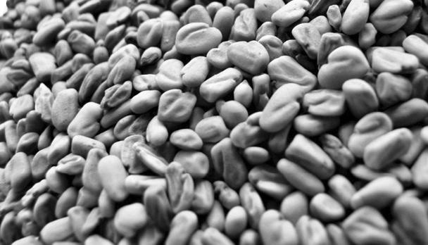 Иллюстрация к книге — Большая энциклопедия специй, приправ и пряностей [_39.jpg]