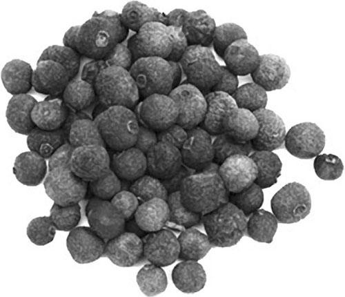 Иллюстрация к книге — Большая энциклопедия специй, приправ и пряностей [_43.jpg]