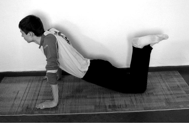 Иллюстрация к книге — Здоровье позвоночника. Системы Попова, Бубновского и другие методики излечения [i_077.jpg]