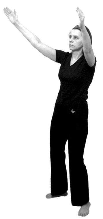 Иллюстрация к книге — Здоровье позвоночника. Системы Попова, Бубновского и другие методики излечения [i_099.jpg]