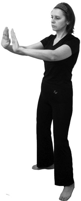 Иллюстрация к книге — Здоровье позвоночника. Системы Попова, Бубновского и другие методики излечения [i_106.jpg]